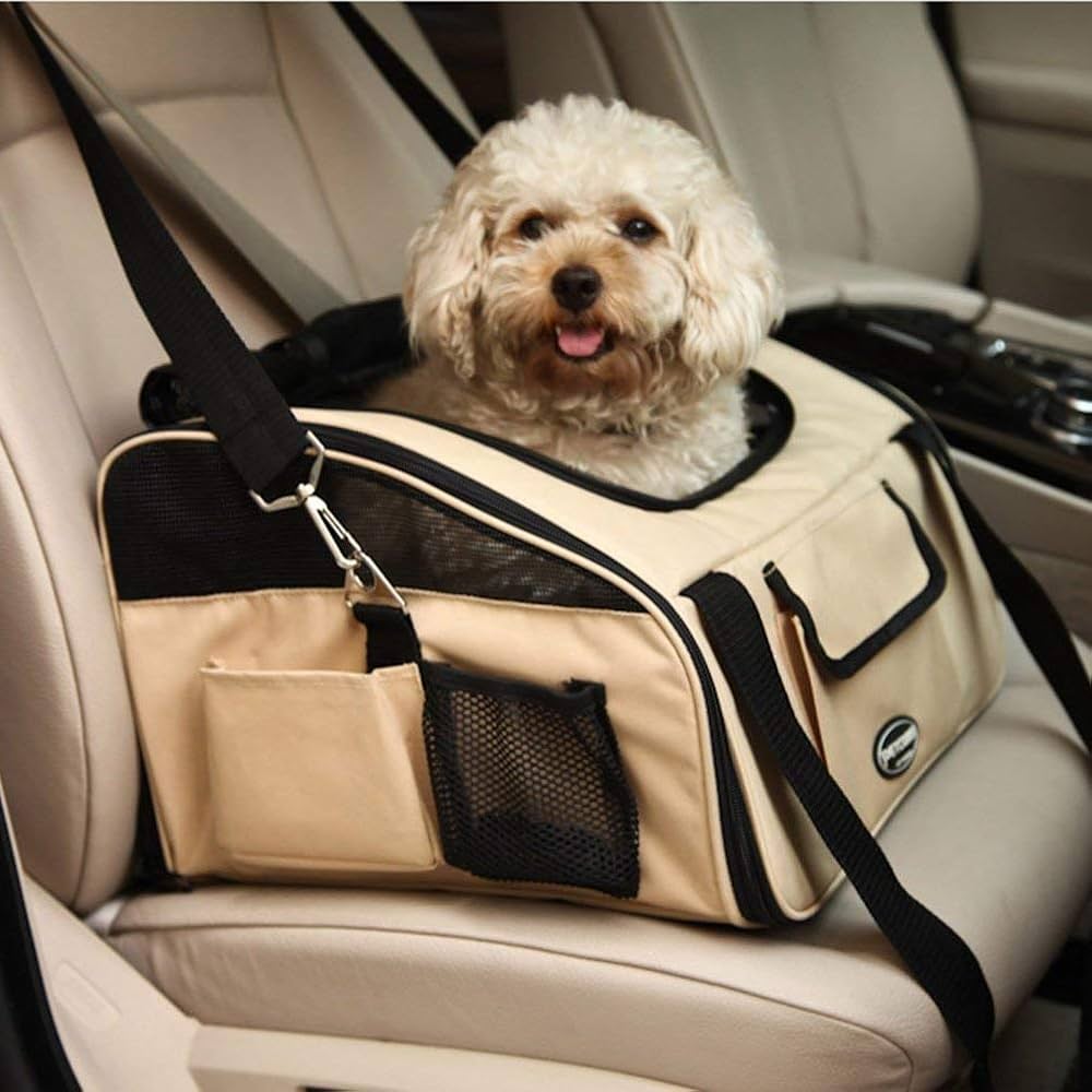 Travel Accessories