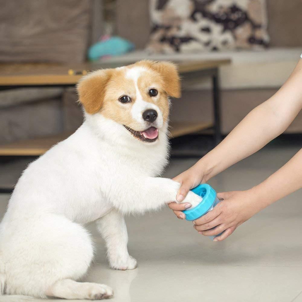 Grooming