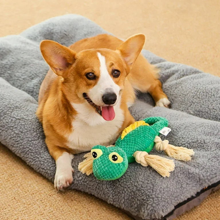 Toys & Treats