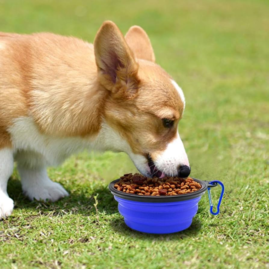 Feeding and Fueling
