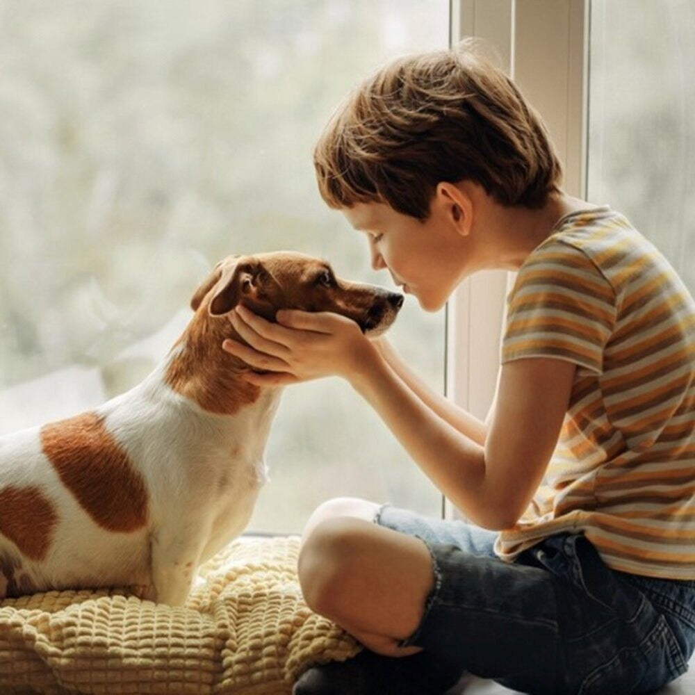 Pet Lovers