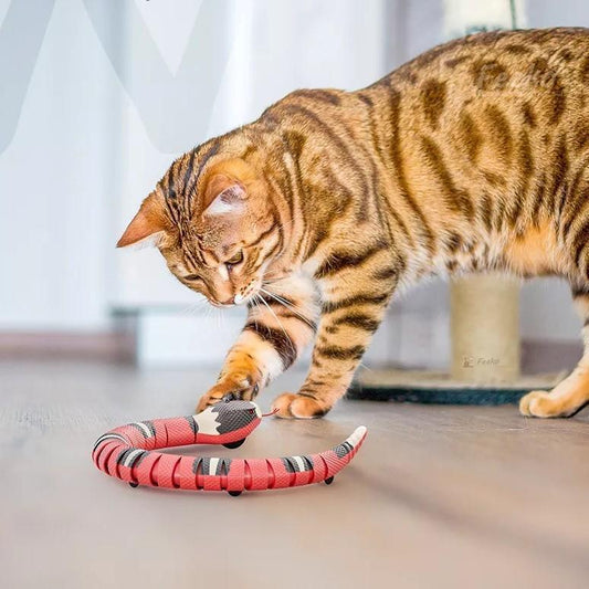 Happy Cat Interactive Rechargable Snake Toy